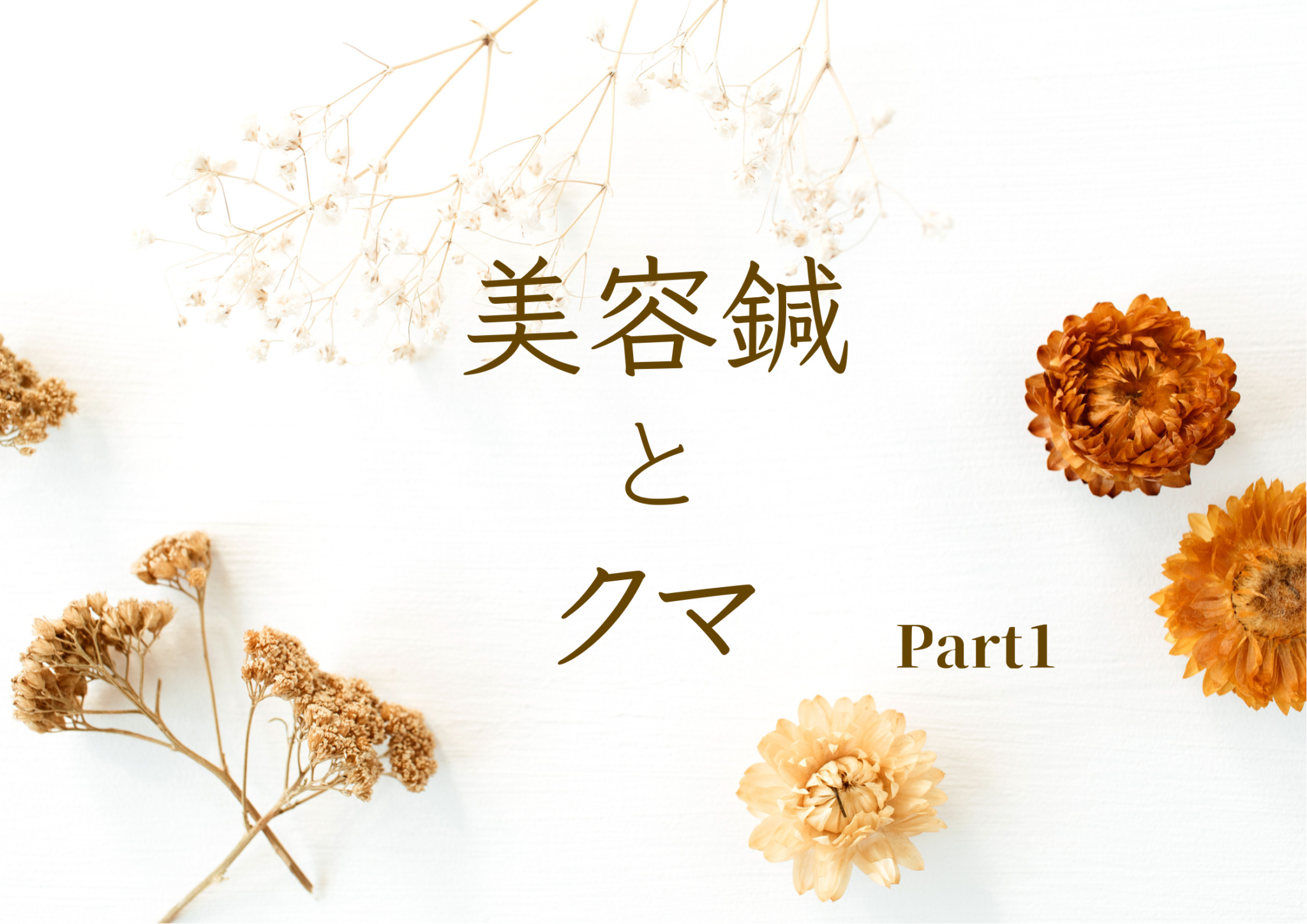 美容鍼とクマ ①