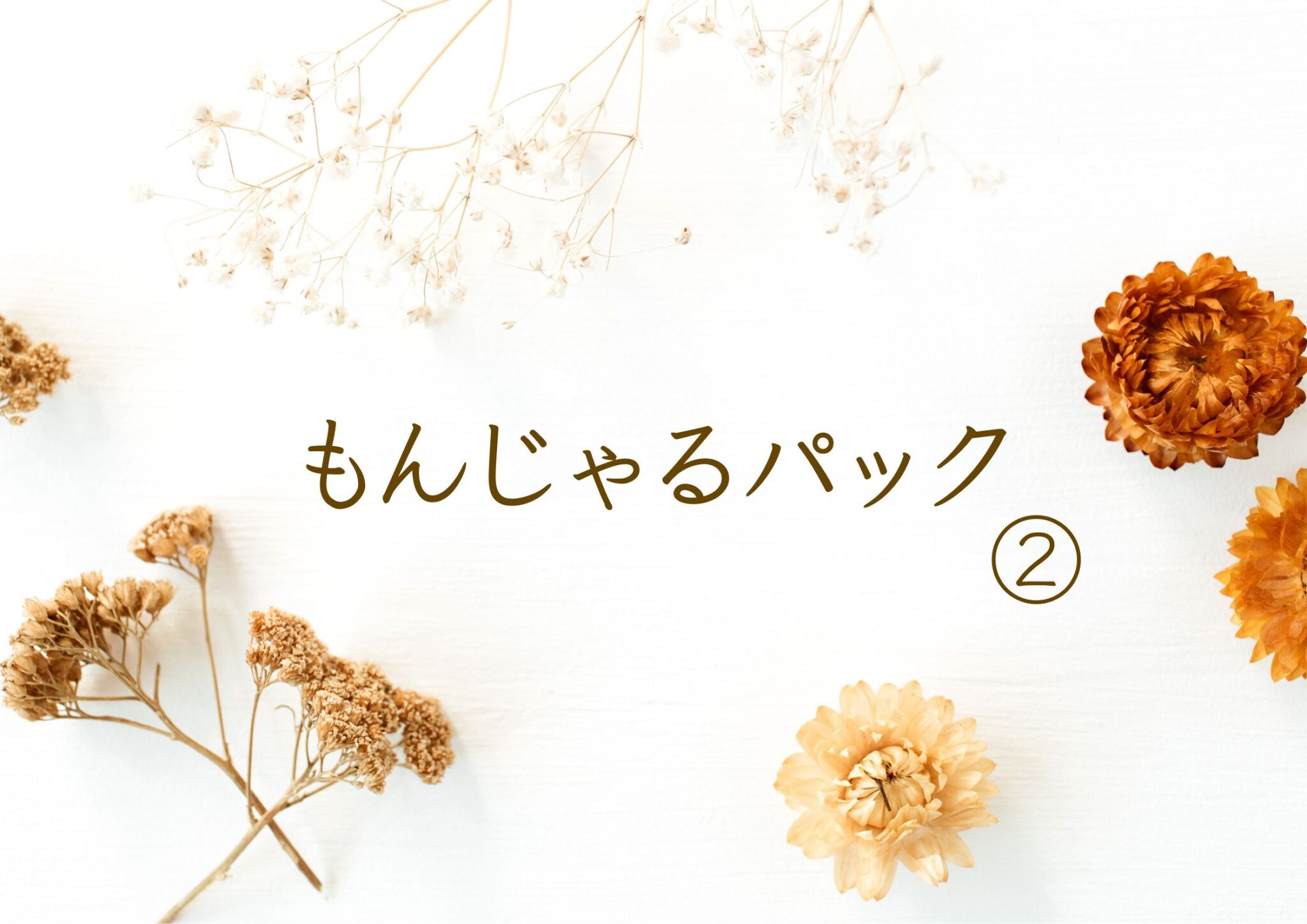 もんじゃるパック2
