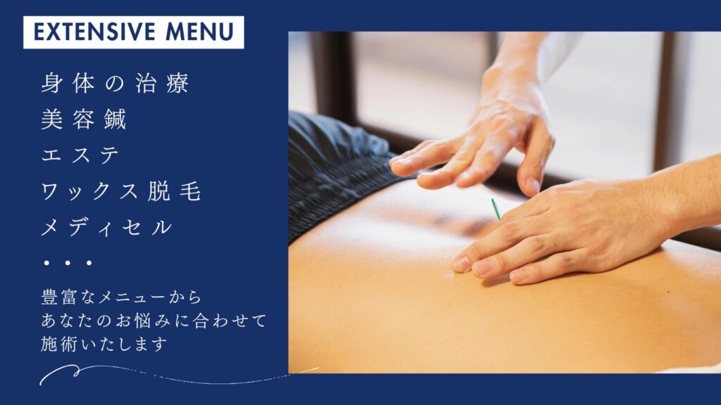 豊富なメニュー