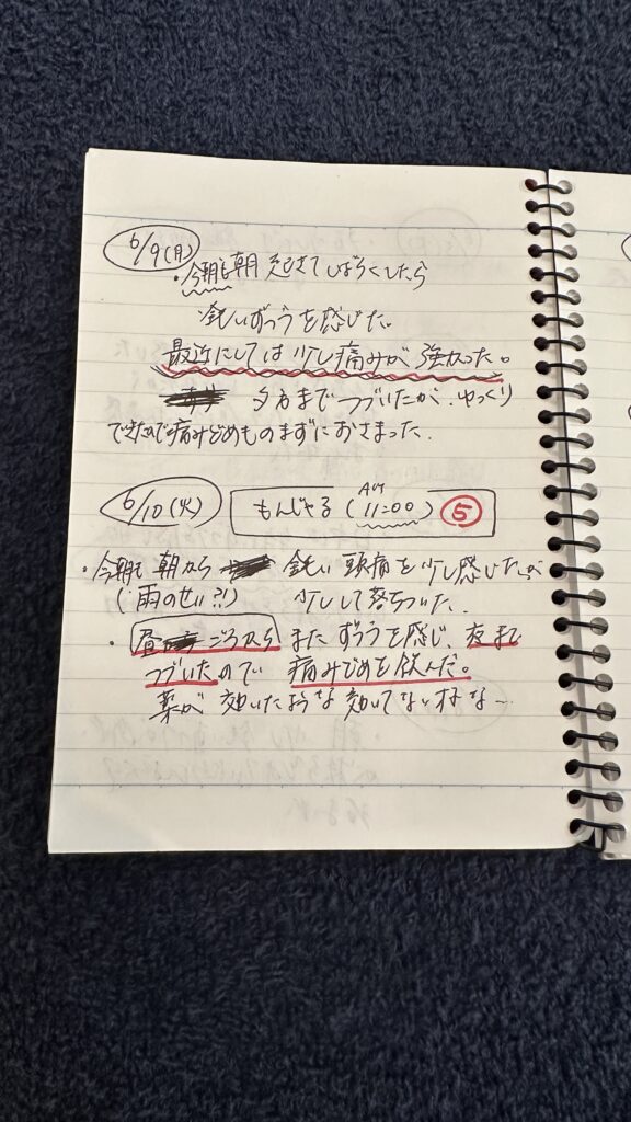 頭痛モニター患者さん日記12
