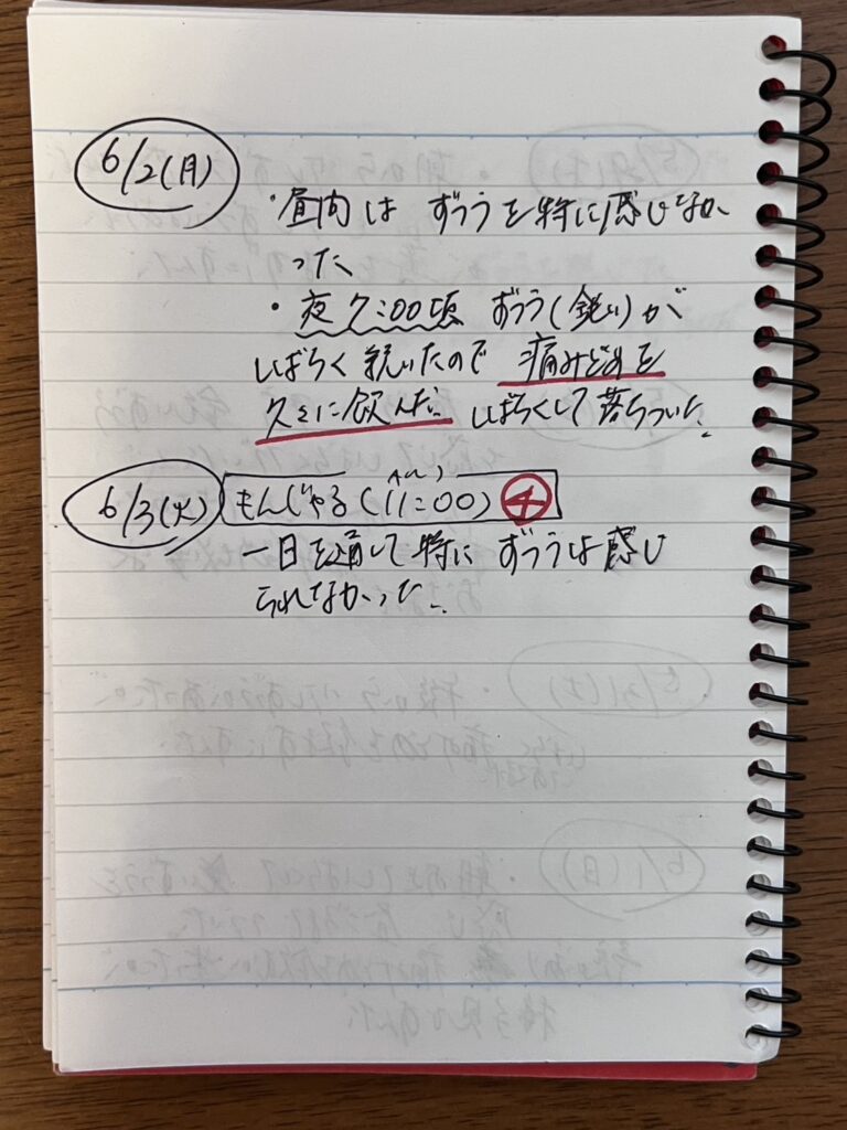 頭痛モニター患者さん日記8
