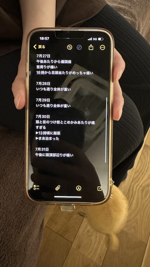 頭痛日記2