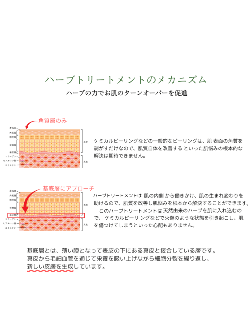 もんじゃる　美容鍼　ハーブ