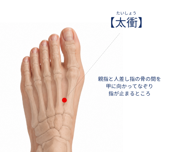 逆子治療で使用するツボ紹介パート３。太衝（たいしょう）というツボで、気血の巡りを改善します。