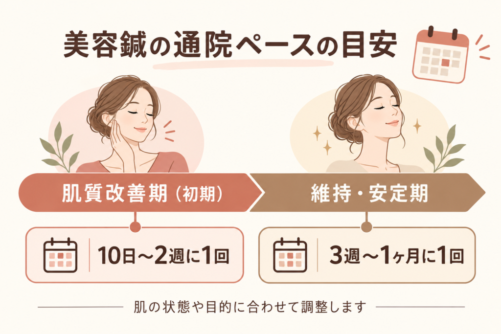 美容鍼の通院ペースとして、初期は10日から2週に1回、維持期は3週から1か月に1回を示した図