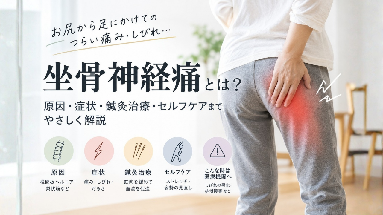 お尻から太もも裏を押さえて痛みに耐える人物のイラストと『座骨神経痛とは？原因・症状・鍼灸治療・セルフケアまで優しく解説』の文字が入ったアイキャッチ画像